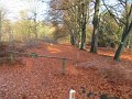 IMG_9290