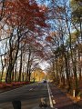 IMG_9292