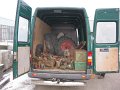 IMG_8066