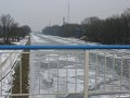 IMG_8154