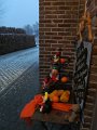 IMG_0117