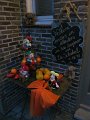 IMG_0118