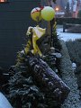 IMG_0123