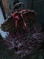 IMG_0125