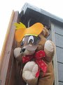 IMG_0142