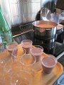 IMG_0221