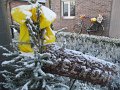 IMG_0270