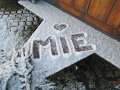 IMG_0272