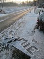 IMG_0273