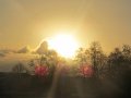 IMG_0278