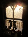 IMG_0280