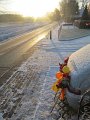 IMG_0282