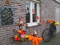 IMG_0315