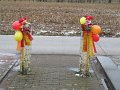 IMG_0318
