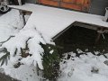 IMG_0405