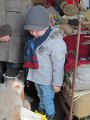 IMG_0816