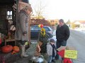 IMG_0817