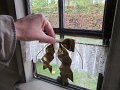 IMG_7852