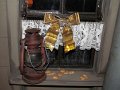 IMG_7887