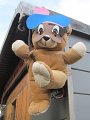 IMG_8533