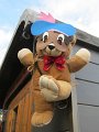 IMG_8534
