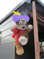 IMG_8535