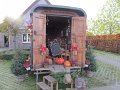 IMG_8545