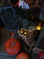 IMG_8559