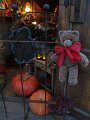 IMG_8561