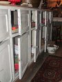 IMG_9368