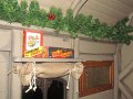 IMG_9372