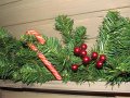 IMG_9387