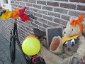 IMG_9759