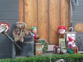 IMG_9760