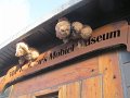 IMG_9776