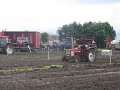 IMG_6288