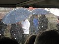 IMG_6339