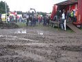 IMG_6345