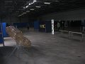 IMG_2391