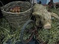 IMG_2509