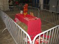 IMG_2581
