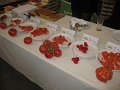 IMG_2624