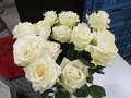 IMG_0017