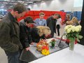 IMG_0099
