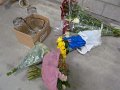 IMG_9871