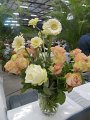 IMG_9931