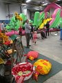 IMG_9977