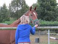 IMG_5404