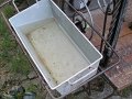 IMG_5430