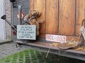 IMG_5434